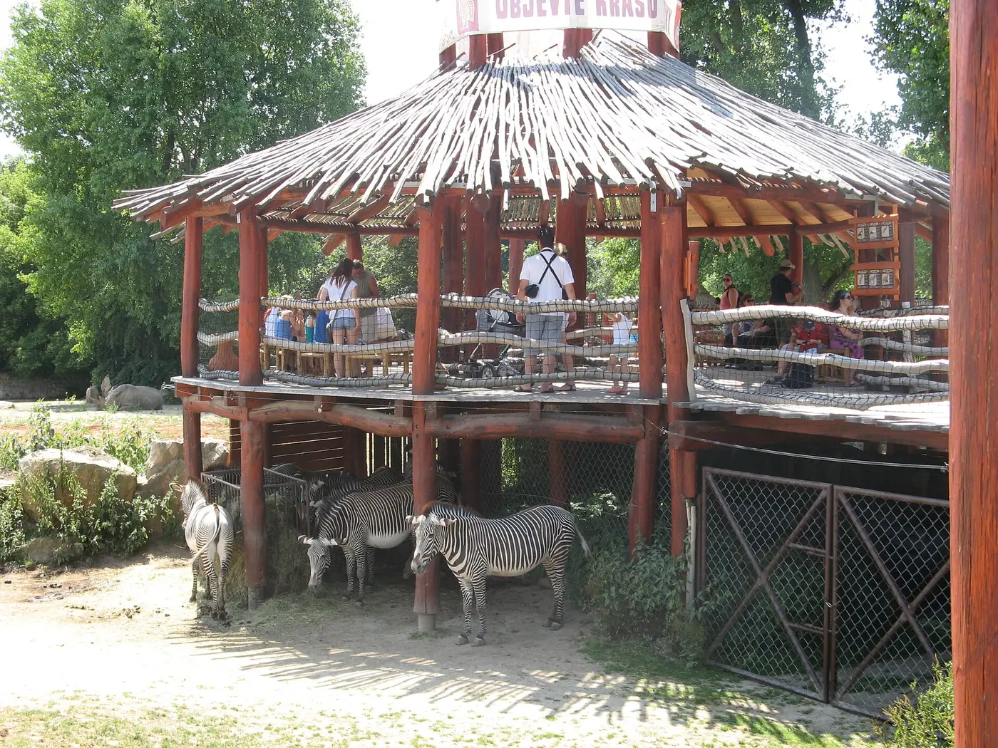 Safaripark Dvůr Králové, foto 3