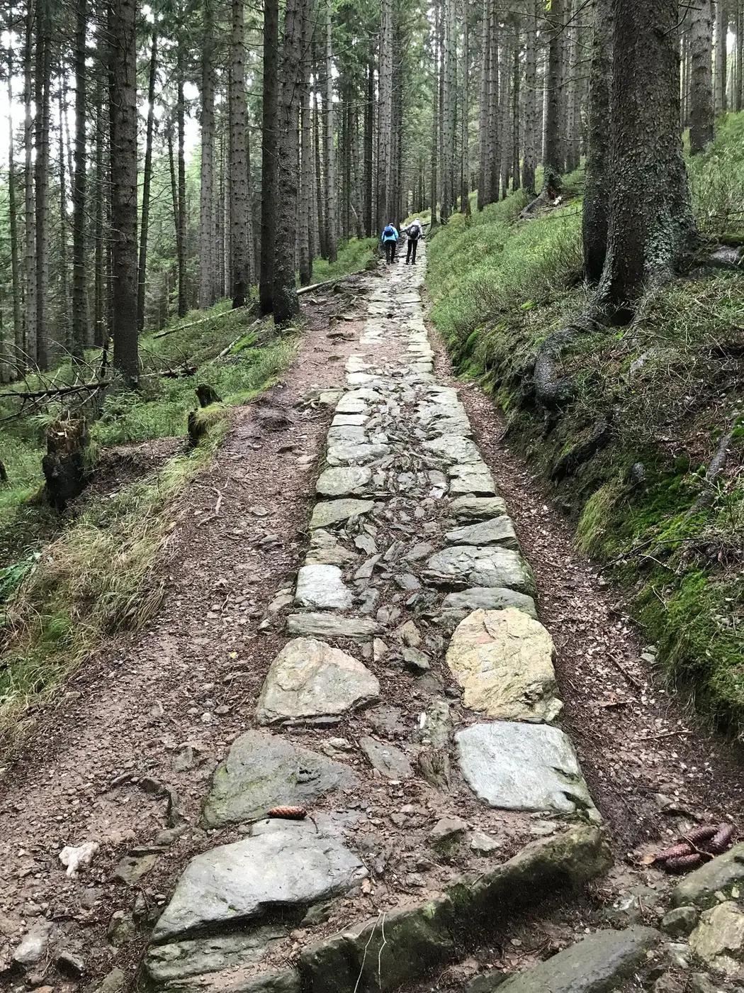 Wandelen vanaf de deur, foto 2