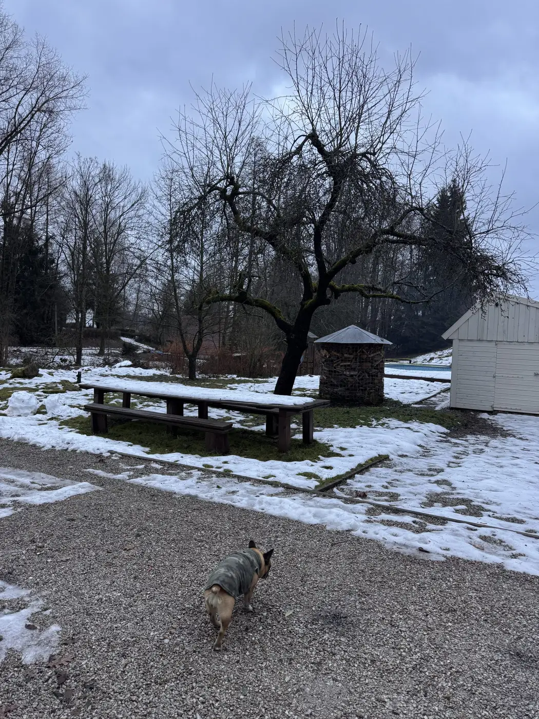 Dat is Everpine Mountain Lodge
