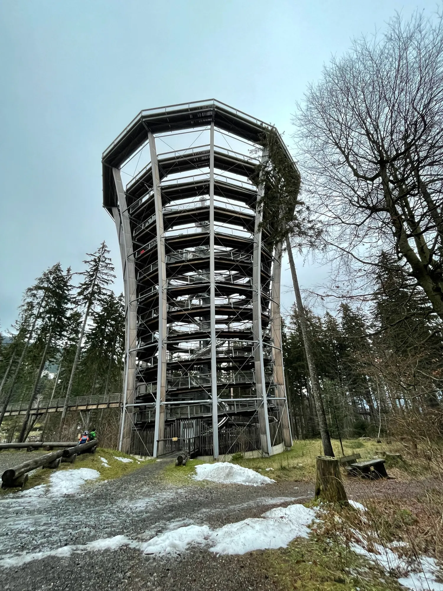Uitkijktoren van het boomkroonpad in Janské Lázně, een uitje in het Reuzengebergte