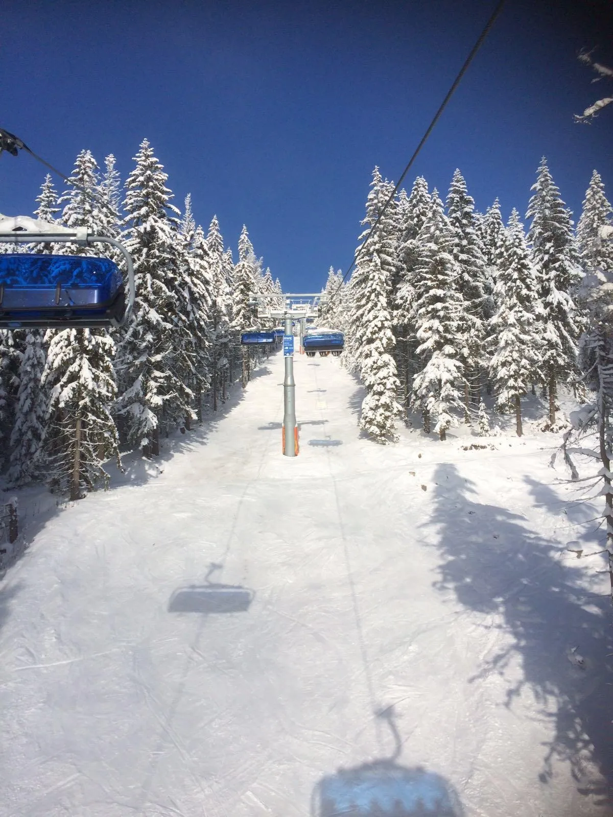 Stoeltjeslift en besneeuwde piste tussen de dennen in het skigebied van het Reuzengebergte